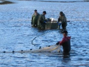 104-0462_IMG
