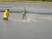 104-0470_IMG