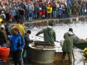 104-0479_IMG