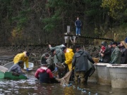 104-0485_IMG