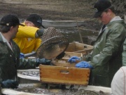 104-0487_IMG