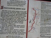 131-3129 IMG