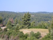 132-3259 IMG