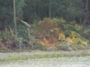 DSCF3158.JPG