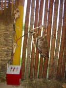 126-2692 IMG