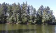 20160912_113147.jpg