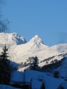 115-1569 IMG