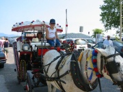 108-0839_IMG