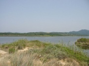 108-0849_IMG
...Westk�ste mit Korrisson Lake...