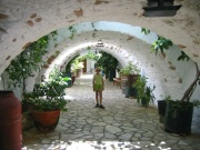 108-0862x_img