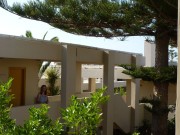 P1000924