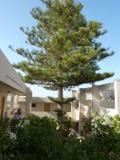 P1000925
