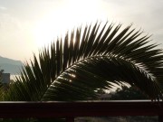 P1000927