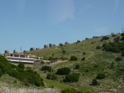 P1000966