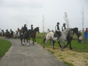 105-0517_IMG
