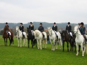 105-0530_IMG