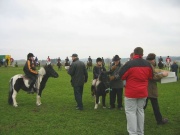 105-0532_IMG