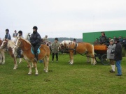 105-0537_IMG