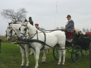 105-0538_IMG