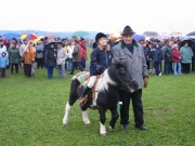 105-0541_IMG