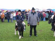 105-0542_IMG