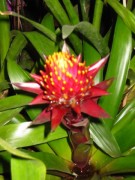144-4410 IMG