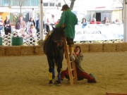 136-3687 IMG * Wie kommt man einfach aufs Pferd ?