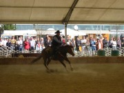 136-3690 IMG * Horse Spinning