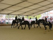 137-3718 IMG * Friesenquadrille