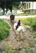 Reiten2004-CH02