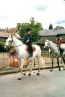 Highlight for album: Sommer-Reitferien 2004