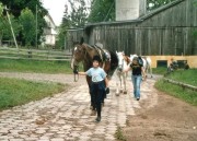 Reiten2004-CQ02