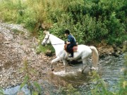Reiten2004-CQ03
