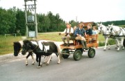 Reiten2004-CQ05