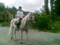 Highlight for album: Reitferien 2008