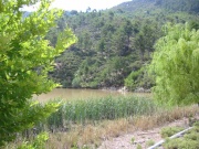Thassos2002_26