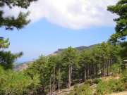 Thassos2002_29