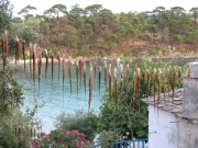 Thassos2002_32