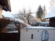P1000590