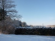 P1000591