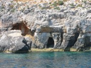 113-1342 IMG