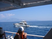 113-1353 IMG..das Meer wird lebendiger an der Nordspitze von Zakynthos...