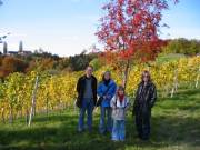 Highlight for Album: Wanderung durch den Steirischen Herbst