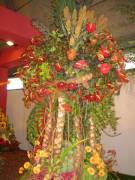 Highlight for Album: Gartenbaumesse Tulln