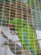 145-4501 IMG
