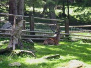146-4605 IMG