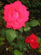 149-4932 IMG