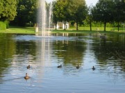 149-4937 IMG