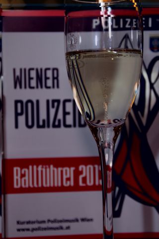 Polizeiball 2013